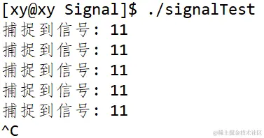 image-20230330231109451