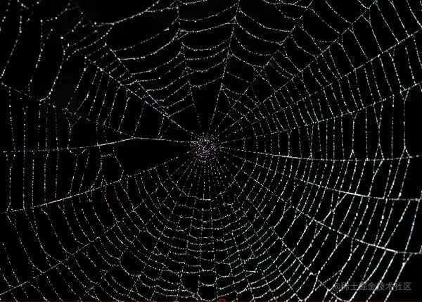 蜘蛛网纹理