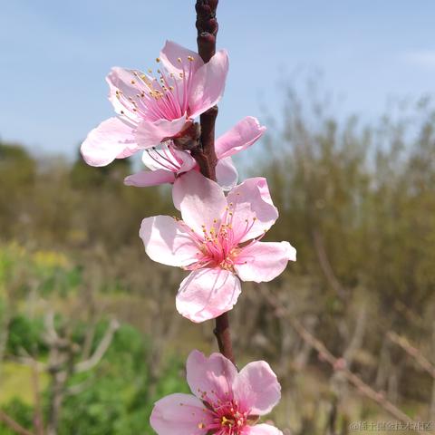 getify于2023-03-18 12:54发布的图片