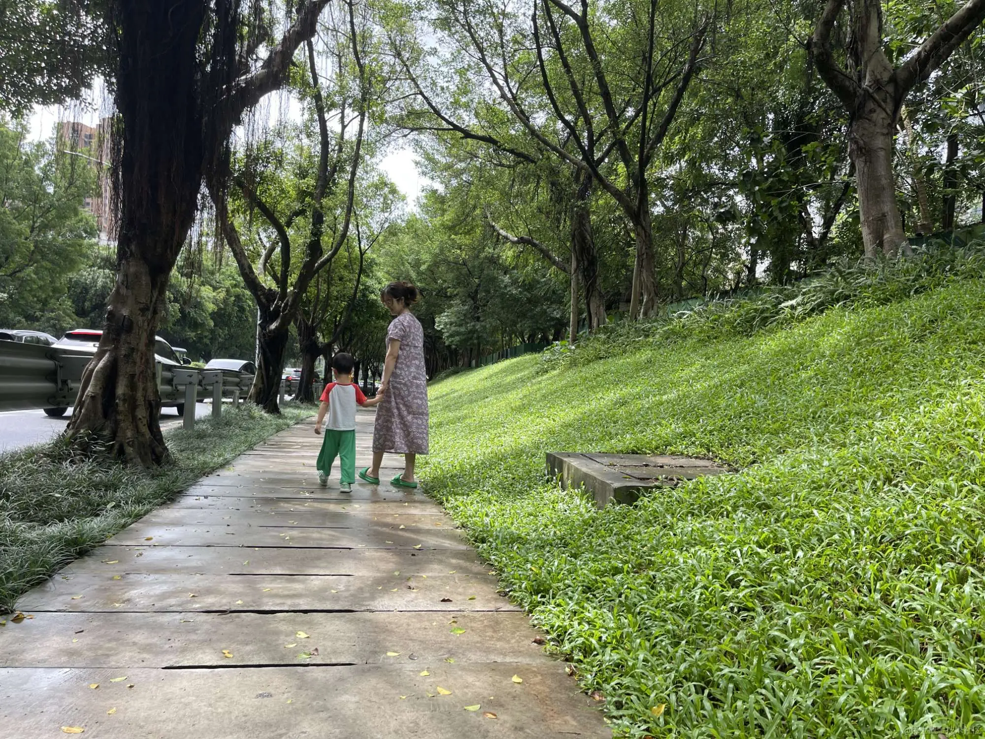 冬季-小区后面的小路