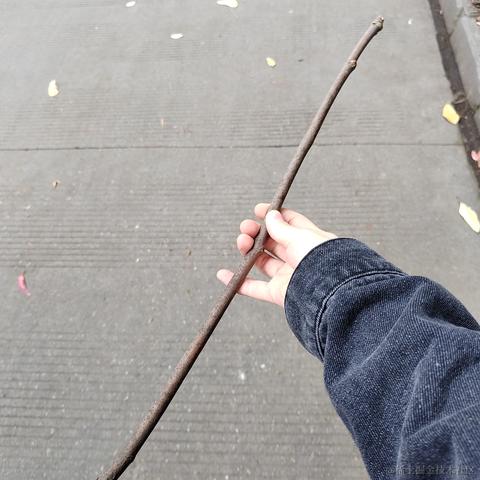 用户681288150871于2023-04-15 00:18发布的图片