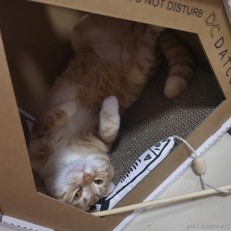 下凡冲浪辛苦了于2022-11-29 23:46发布的图片