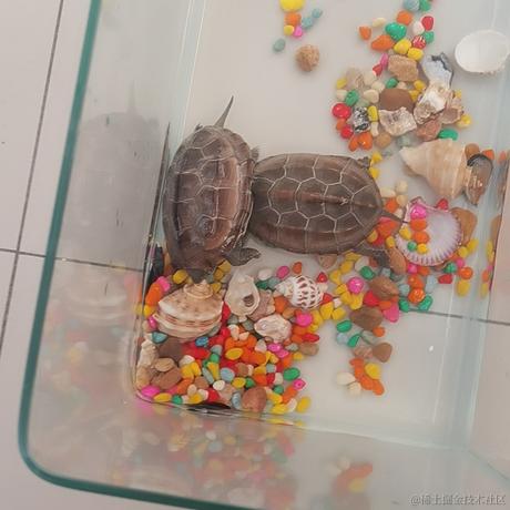 终极白龙马于2022-12-19 12:36发布的图片