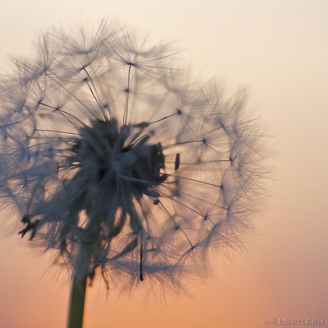 码界西柚于2023-01-18 00:42发布的图片