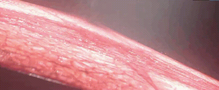 血之鼓灯光分解 - 瑞云渲染