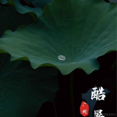 接着奏乐_接着舞于2024-06-24 09:24发布的图片
