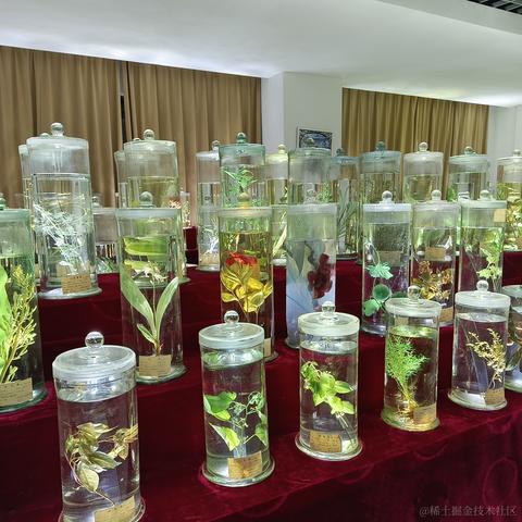 千岁归鹤于2022-11-26 15:06发布的图片