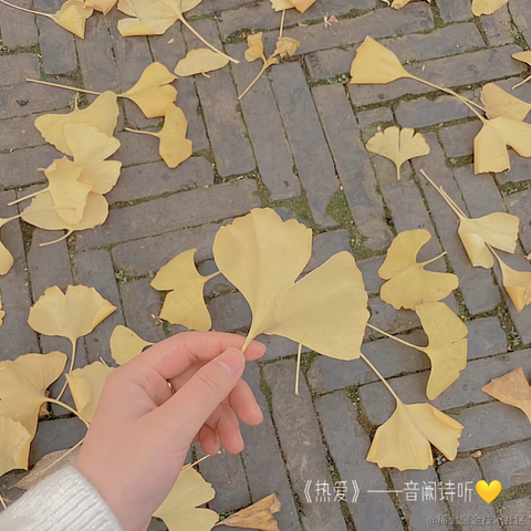 已注销于2021-12-10 08:16发布的图片
