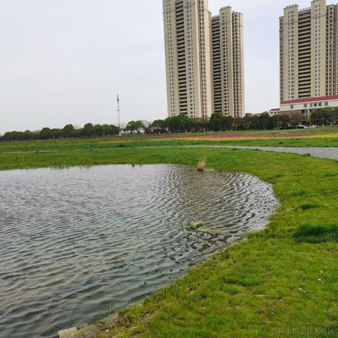 快跑的前端弱鸡于2021-04-13 08:39发布的图片