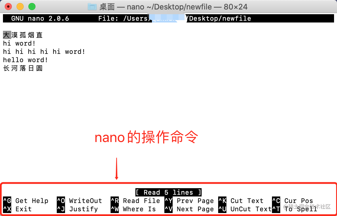 nano编辑器