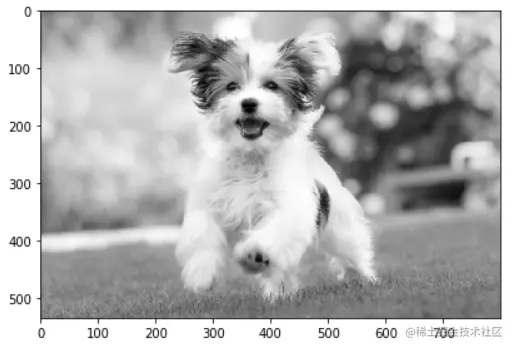 Convert Image to Grayscale Python Scikit Image (Skimage)