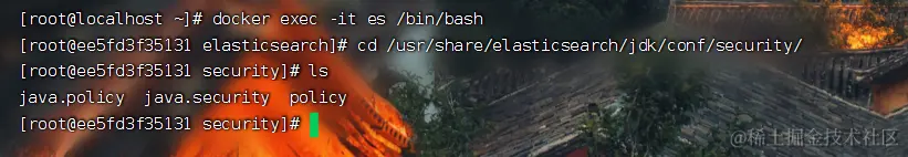 image-20230618101229748