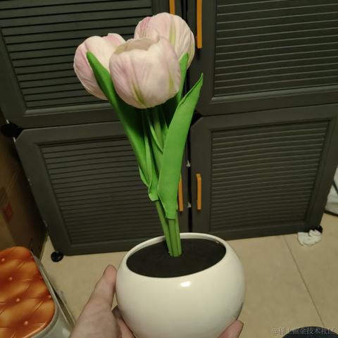 Buda于2022-12-03 00:51发布的图片