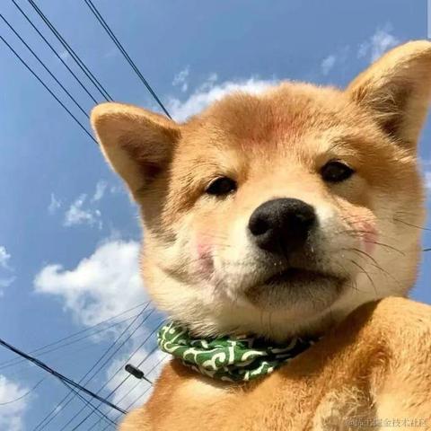 IT小番茄于2021-11-19 02:08发布的图片