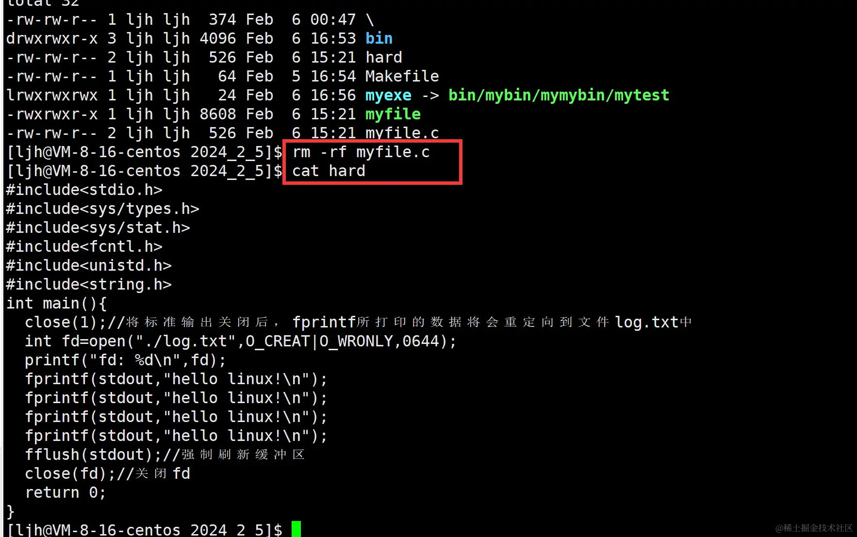 image-20240206171349002