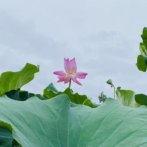 摄氏40度于2021-09-15 15:26发布的图片