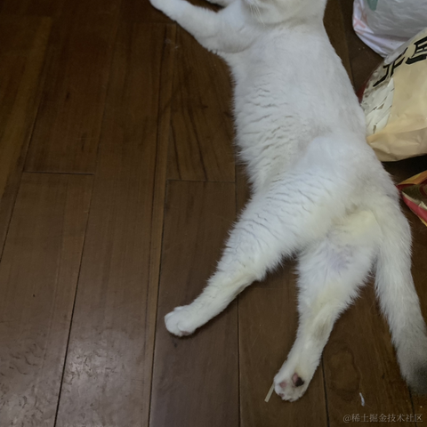 打瞌睡的专家于2022-06-14 10:12发布的图片