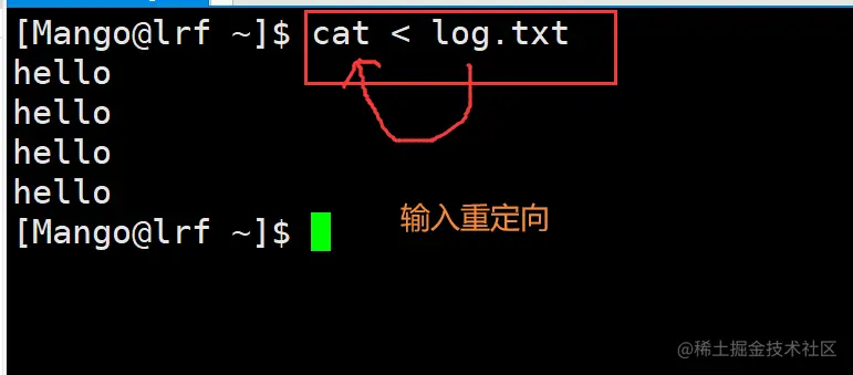 image-20220313144203462