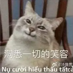 洞悉的笑.jpeg