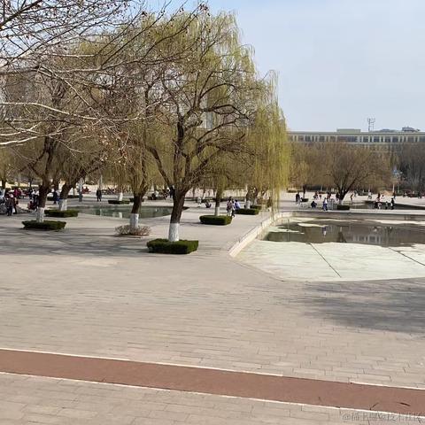 我是锦鲤于2023-03-14 13:36发布的图片