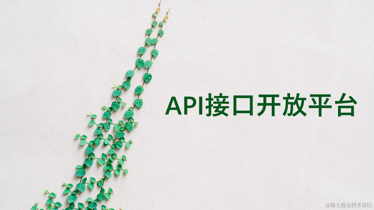 API接口开放平台