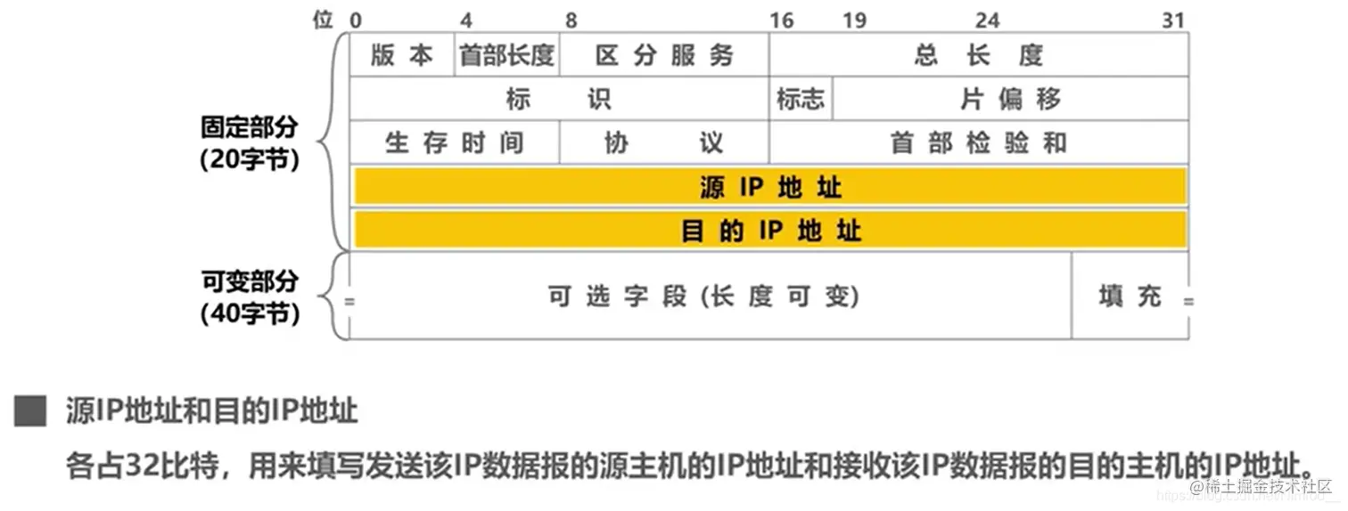 源IP地址、目的IP地址字段