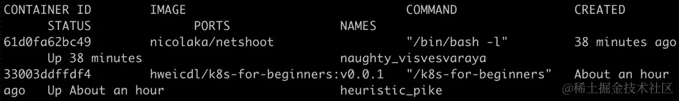 图 1.24：检查 k8s-for-beginners 和 netshoot 是否都在线容器都在线