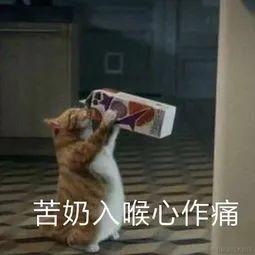 胖大昕于2022-12-03 13:38发布的图片