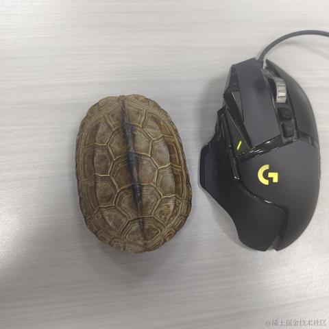 哈莉云于2023-09-14 16:42发布的图片