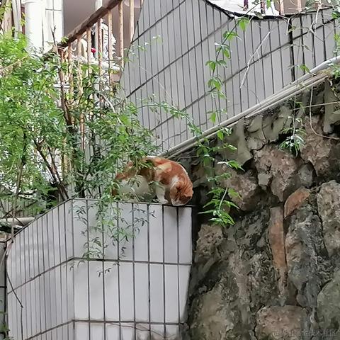 Queeeee于2022-11-26 12:25发布的图片