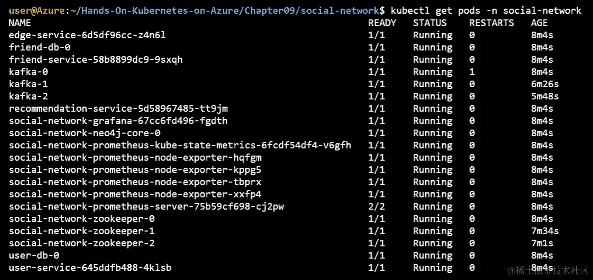 输出显示共有 20 个状态为 Running 的 Pod。