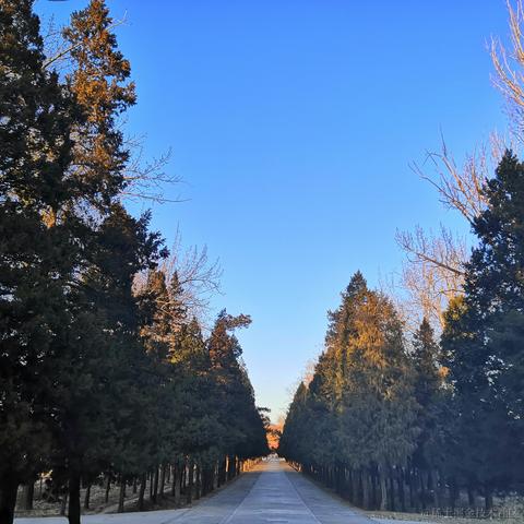 web前端小学僧于2020-09-30 11:08发布的图片