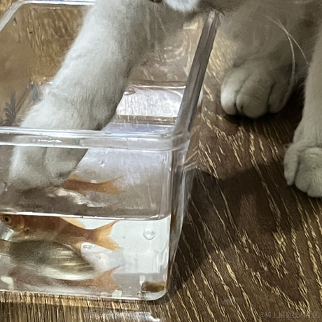 啾啾哼于2023-05-18 12:48发布的图片