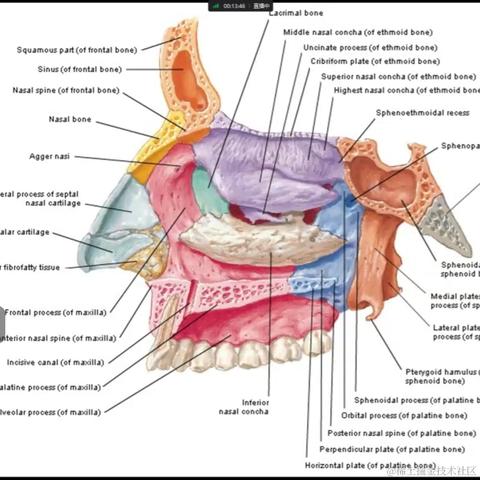 依古比古c于2022-09-28 23:20发布的图片