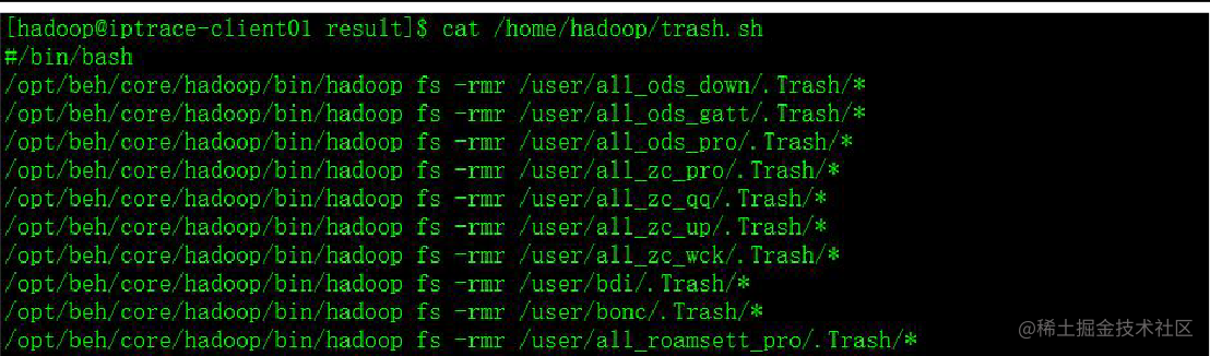 Hdfs巡检 监控 调优 排障 掘金