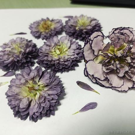 加盐于2022-11-27 14:39发布的图片