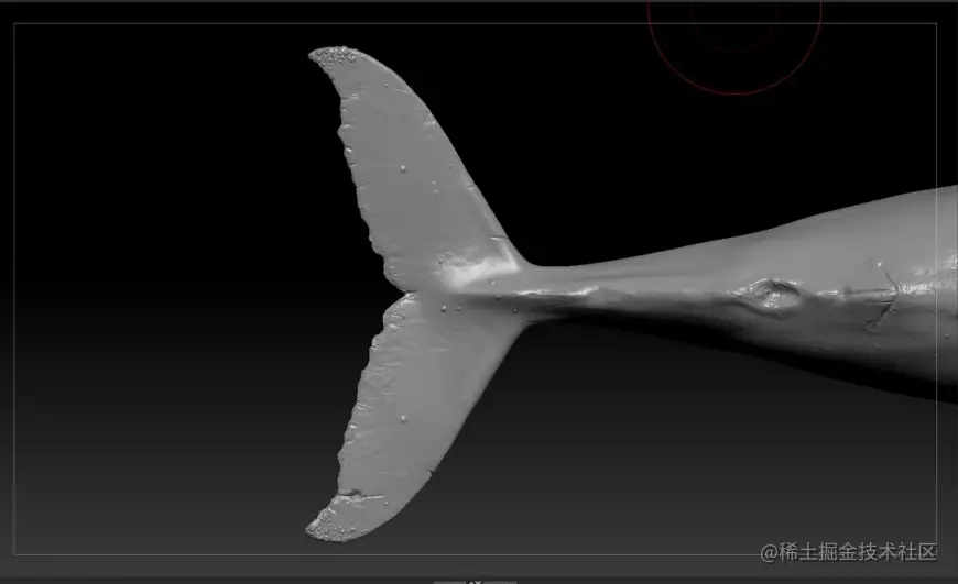 《Whale Rider》 - 瑞云渲染