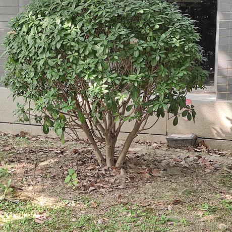 wh7uan于2022-11-15 11:19发布的图片