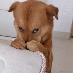 此功能待开发于2021-10-31 15:10发布的图片