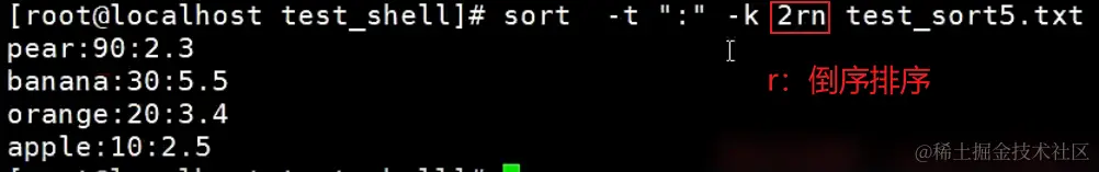 image-20240203145022617