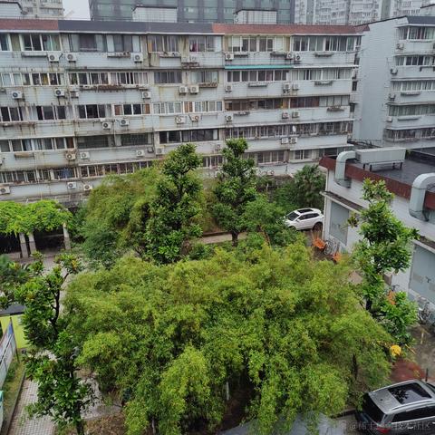 吃鱼徐于2023-06-07 10:32发布的图片