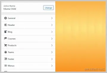 WordPress Premium Theme Customizer