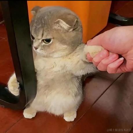 camvv于2023-04-15 23:15发布的图片