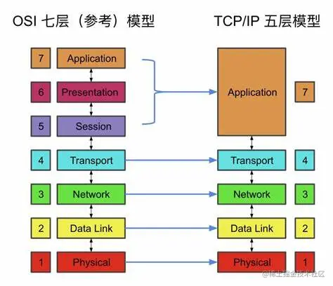 OIP-C.jpg