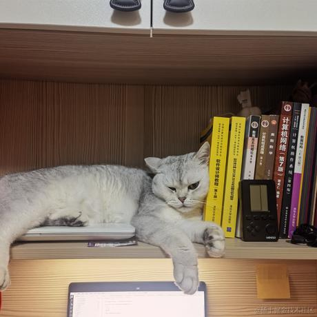 青春饭于2023-08-31 11:53发布的图片