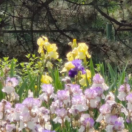 无趣的汽水于2023-05-19 16:09发布的图片