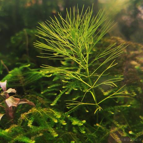 BK0717于2022-11-21 18:05发布的图片