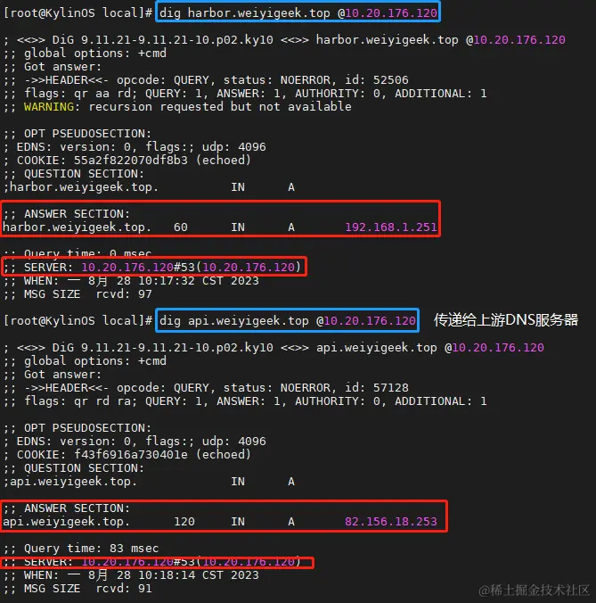 weiyigeek.top-dig工具验证解析图