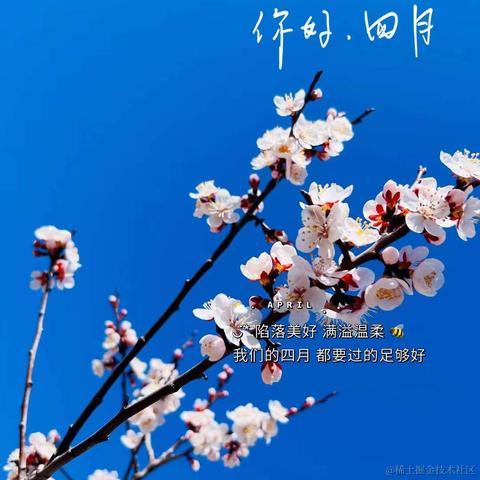 刚子哥爱吃鱼于2023-04-25 16:23发布的图片