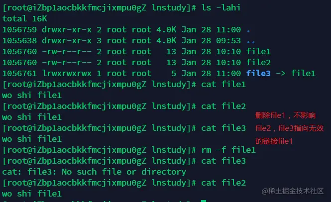 image-20210128110240981